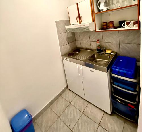 Kuchyň nebo kuchyňský kout v ubytování Apartment Zaklopatica 8342b