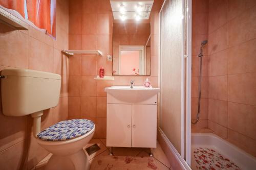 uma casa de banho com um WC, um lavatório e um chuveiro em Apartments with a parking space Brbinj, Dugi otok - 8160 em Brbinj
