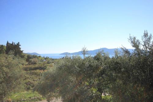 a view of the ocean from a hill with trees at Apartments and rooms with parking space Brsecine, Dubrovnik - 8541 in Zaton