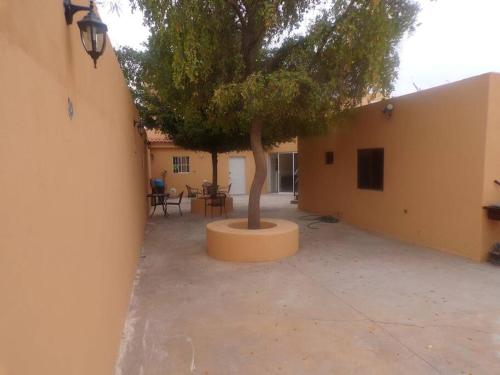 a tree sitting in a pot next to a building at Departamento 15 comodo y confortable , cerca del centro de gobierno , galerias mall, consulado , CAS , Pepsi in Hermosillo