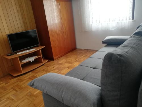 a living room with a couch and a television at Apartments with a parking space Zdrelac, Pasman - 8514 in Ždrelac