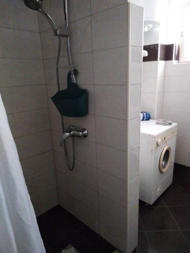 a bathroom with a shower with a washing machine at Apartment Lukoran 8397b in Lukoran