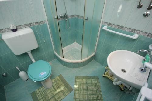 uma casa de banho com um chuveiro, um WC e um lavatório. em Apartments with a parking space Kraj, Pasman - 8213 em Tkon