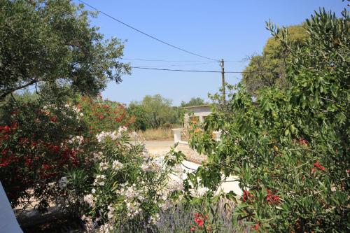 a view of a garden with flowers and trees at Apartments with parking space Pasman - 8214 in Pašman