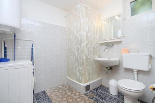 a bathroom with a shower and a toilet and a sink at Apartments with a parking space Zavala, Hvar - 8706 in Jelsa