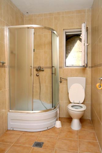 a bathroom with a shower and a toilet at Seaside secluded apartments Cove Pobij, Hvar - 8702 in Gdinj