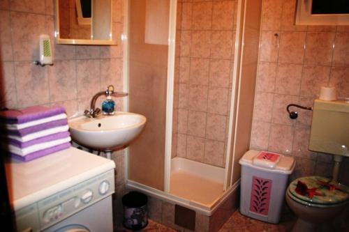 La petite salle de bains est pourvue d'un lavabo et d'une douche. dans l'établissement Holiday house with a swimming pool Bol, Brac - 11016, à Bol