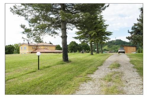 a dirt road in a field with trees and a house at Bed & Breakfast Montesterlino in Cesena