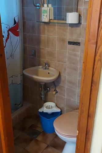 a small bathroom with a sink and a toilet at Rooms with a parking space Selce, Crikvenica - 11133 in Selce