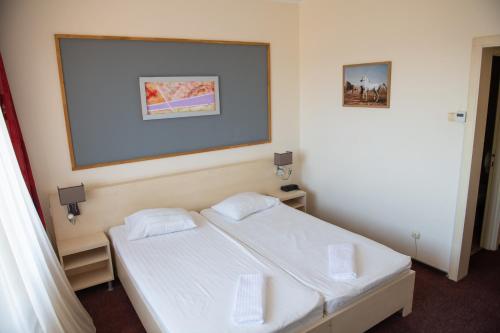 a bedroom with two beds and a picture on the wall at Hotel Panoramic in Râmnicu Vâlcea
