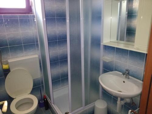a small bathroom with a toilet and a sink at Apartments by the sea Hodilje, Peljesac - 11189 in Ston