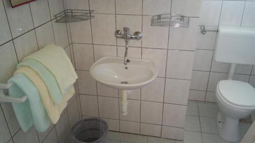 a bathroom with a sink and a toilet at Apartments with parking space Supetarska Draga - Donja, Rab - 11237 in Supetarska Draga