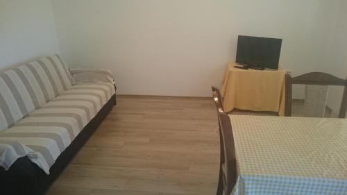 Televízia a/alebo spoločenská miestnosť v ubytovaní Apartments by the sea Seline, Paklenica - 11197