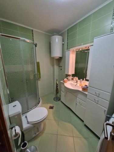 a bathroom with a toilet and a sink at Danube duplex apartment in Smederevo