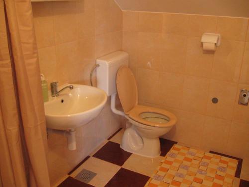 Ένα μπάνιο στο Apartments with a parking space Smoljanac, Plitvice - 11334