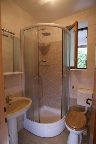 a bathroom with a shower and a toilet and a sink at Apartments and rooms with parking space Lovran, Opatija - 10403 in Lovran