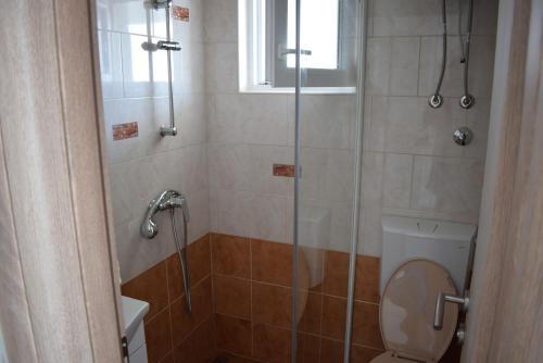 Studio Novalja 6491a