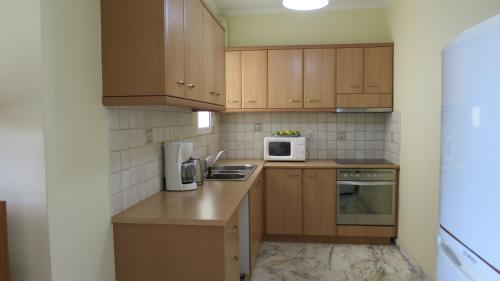 Kuchyňa alebo kuchynka v ubytovaní Modern apartment near Acropolis peaceful location.