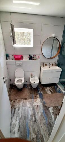 a bathroom with a toilet and a sink and a mirror at Vila Casa di mare Jelsa, otok Hvar in Jelsa