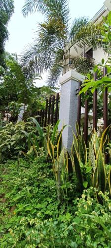 a yard filled with plants next to a fence at Layang Layang Home in El Nido