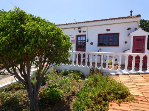 Κήπος έξω από το Casa Goliath