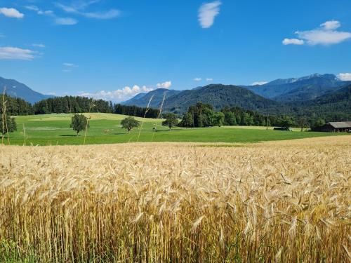 Naturlandschaft in der Nähe der Ferienwohnung