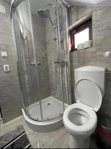 a bathroom with a shower and a toilet and a tub at ApartElim in Mănăstirea Humorului