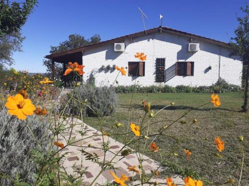 Casitas de Campo – Photos 4