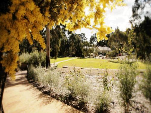 a path in a park with trees and a field at Foothills in Lilydale