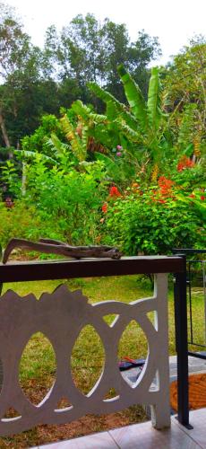 Taman di luar Dan Zoranz Self Catering Guest House