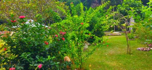 Taman di luar Dan Zoranz Self Catering Guest House