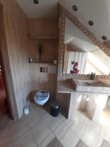 a bathroom with a sink and a mirror at Wczasy U Piotra in Grabno