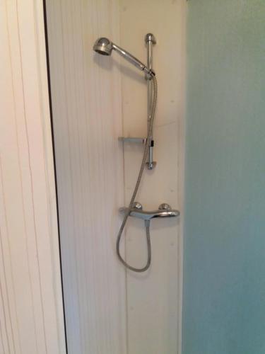 a shower with a shower head in a bathroom at Chalet De Eekhoorn in Diever