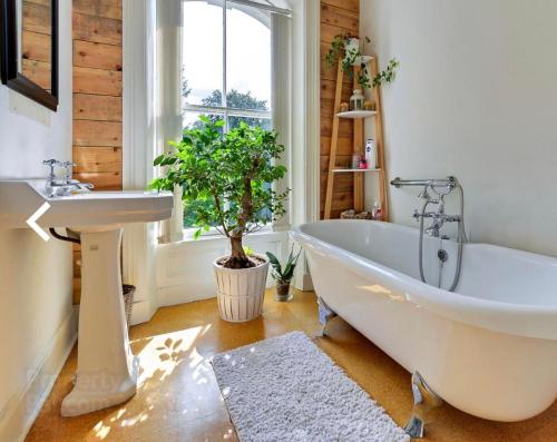 ein Badezimmer mit einer Badewanne, einem Waschbecken und einem Baum in der Unterkunft Fountain Hill House in Derry Londonderry