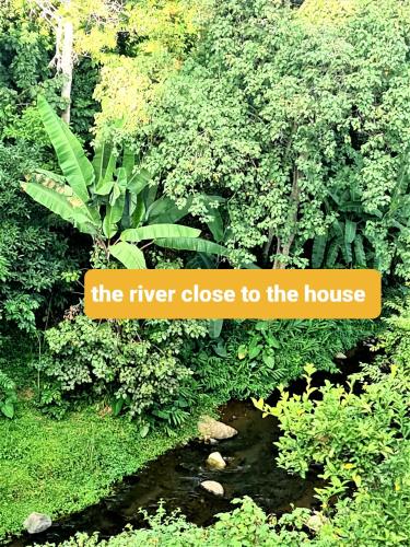 the river close to the house in the jungle at Holiday cottage by the river, Arusha in Arusha