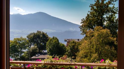 a view of a mountain from a window with flowers at Café Pension Alpina in Innsbruck