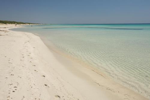 a beach with footprints in the sand and water at VILLA ROSA MEDITERRANEA in Marina di Pescoluse