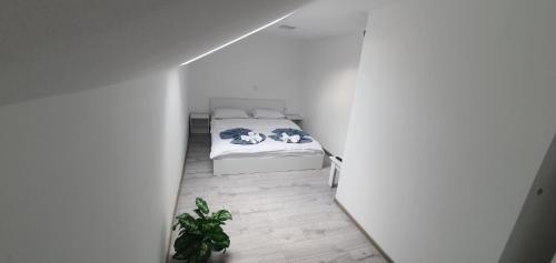 - une chambre avec un lit et une plante en pot dans l'établissement Apartament La Sika, à Orşova