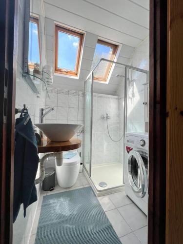 ein Badezimmer mit einem Waschbecken und einer Waschmaschine in der Unterkunft Ferienhaus Odenwald in Michelstadt