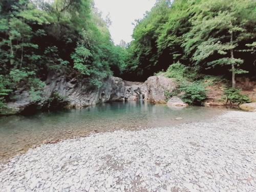 a river in the middle of a forest at Il Giardino di Marzo Guest House in Monti di Licciana Nardi