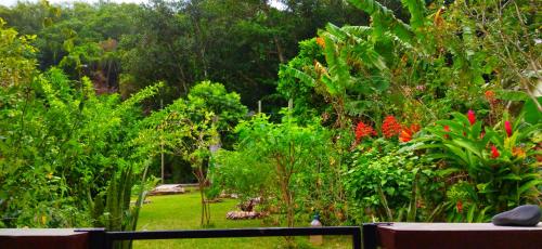 Taman di luar Dan Zoranz Self Catering Guest House