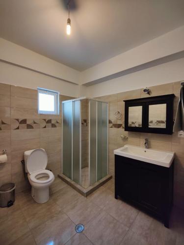 a bathroom with a toilet and a shower and a sink at Amazing View Apartments at Kroi i Gjine, Piqeras in Piqeras