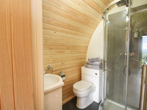 a bathroom with a toilet and a shower at Sunset Pod in Shrewsbury