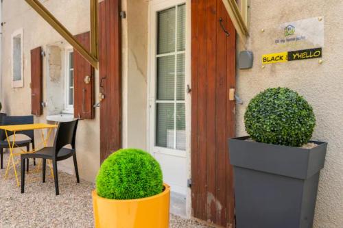Deux plantes en pots devant un bâtiment dans l'établissement Black & y'hello T2 : WIFI/PARKING/ 5' centre-ville, à Angoulême