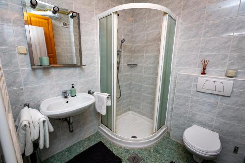 Koupelna v ubytování Prijeten sončen apartma v objemu Pohorja