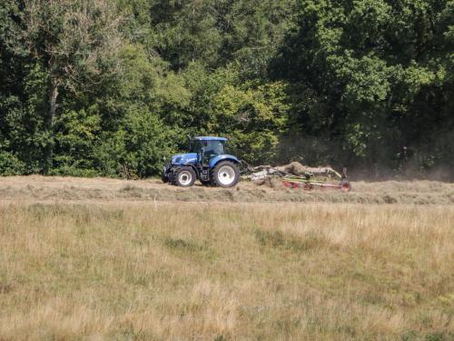 a blue tractor pulling a plow in a field at Steel Works Farm in Ross on Wye