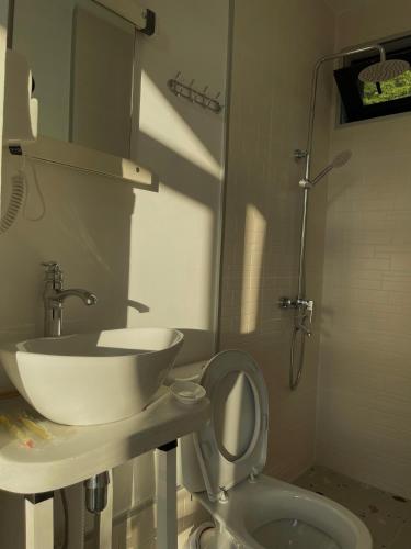 a bathroom with a sink and a toilet at View Racha in Ambrolauri