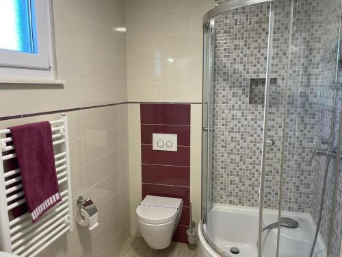 une salle de bain avec toilettes et douche dans l'établissement Family friendly house with a swimming pool Gornje Planjane, Zagora - 19733, à Unešić