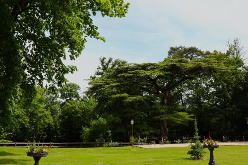 a park with a large tree in the distance at Maison D'hôtes Sainte-Marie in Mirande