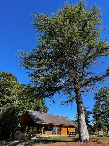 a large tree in front of a house at Enjoy Eco Lodge in Onhaye